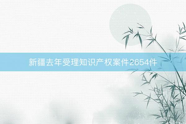 新疆去年受理知识产权案件2654件