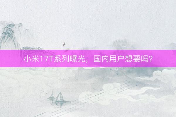 小米17T系列曝光，国内用户想要吗？
