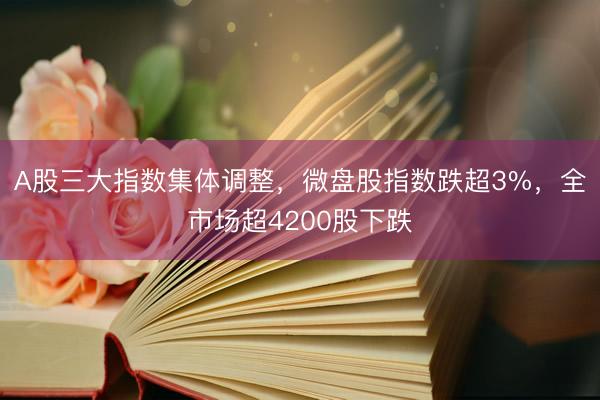 A股三大指数集体调整，微盘股指数跌超3%，全市场超4200股下跌