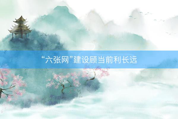 “六张网”建设顾当前利长远