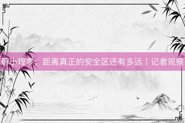 蔚小理零，距离真正的安全区还有多远丨记者观察