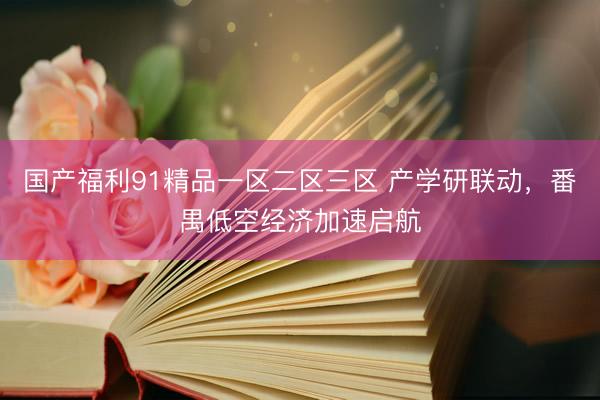 国产福利91精品一区二区三区 产学研联动,番禺低空经济加速启航