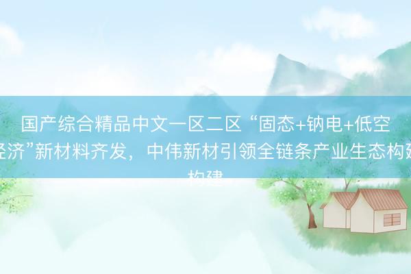 国产综合精品中文一区二区 “固态+钠电+低空经济”新材料齐发，中伟新材引领全链条产业生态构建