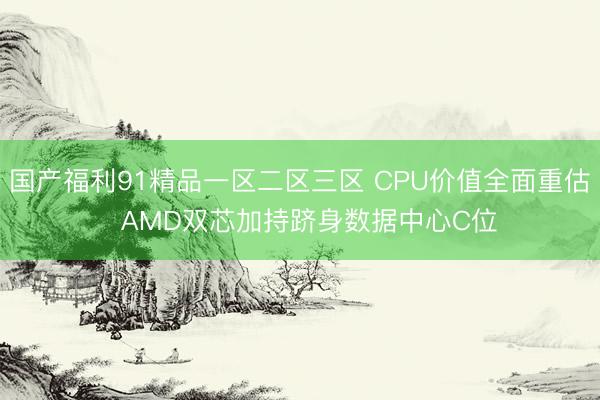 国产福利91精品一区二区三区 CPU价值全面重估  AMD双芯加持跻身数据中心C位