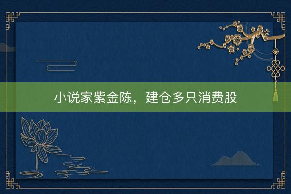 小说家紫金陈，建仓多只消费股