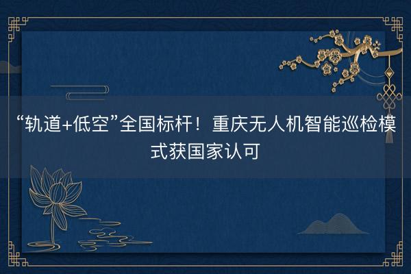 “轨道+低空”全国标杆！重庆无人机智能巡检模式获国家认可