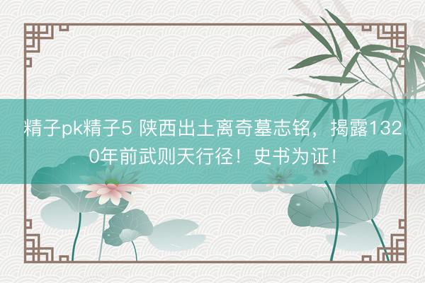 精子pk精子5 陕西出土离奇墓志铭，揭露1320年前武则天行径！史书为证！