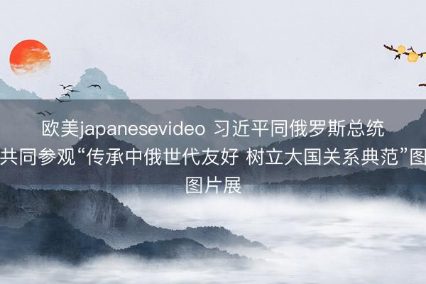 欧美japanesevideo 习近平同俄罗斯总统普京共同参观“传承中俄世代友好 树立大国关系典范”图片展