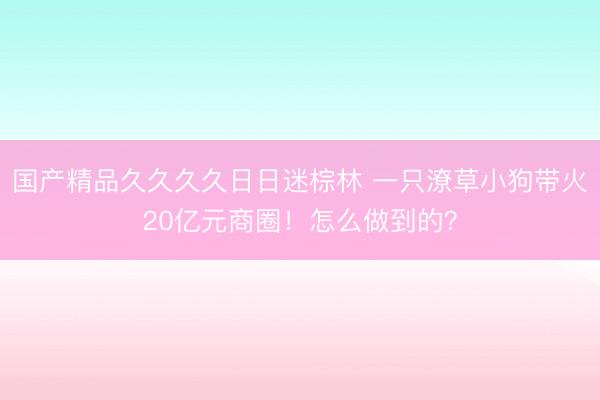 国产精品久久久久日日迷棕林 一只潦草小狗带火20亿元商圈！怎么做到的？