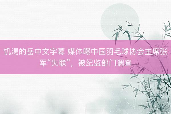 饥渴的岳中文字幕 媒体曝中国羽毛球协会主席张军“失联”，被纪监部门调查