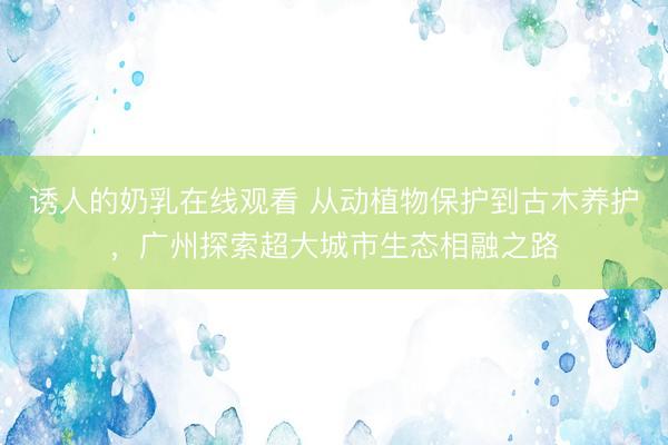 诱人的奶乳在线观看 从动植物保护到古木养护，广州探索超大城市生态相融之路