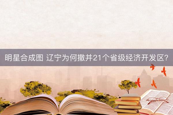 明星合成图 辽宁为何撤并21个省级经济开发区？