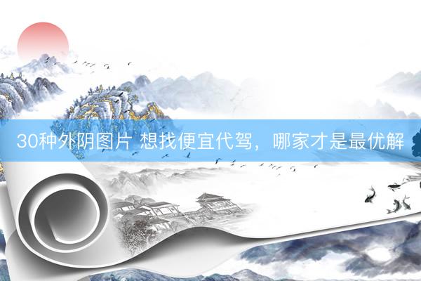 30种外阴图片 想找便宜代驾，哪家才是最优解
