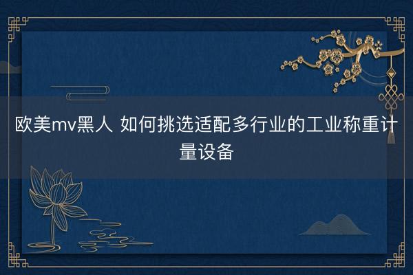 欧美mv黑人 如何挑选适配多行业的工业称重计量设备