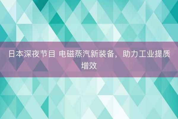 日本深夜节目 电磁蒸汽新装备，助力工业提质增效
