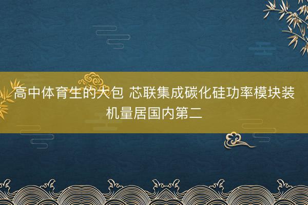 高中体育生的大包 芯联集成碳化硅功率模块装机量居国内第二