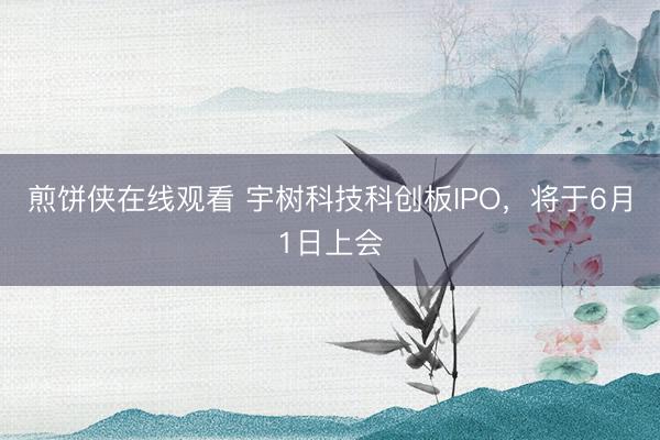 煎饼侠在线观看 宇树科技科创板IPO，将于6月1日上会