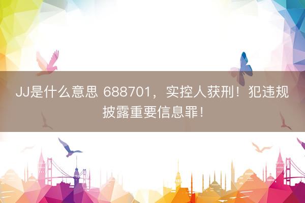 JJ是什么意思 688701，实控人获刑！犯违规披露重要信息罪！