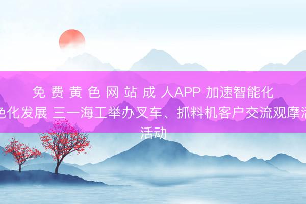 免 费 黄 色 网 站 成 人APP 加速智能化绿色化发展 三一海工举办叉车、抓料机客户交流观摩活动