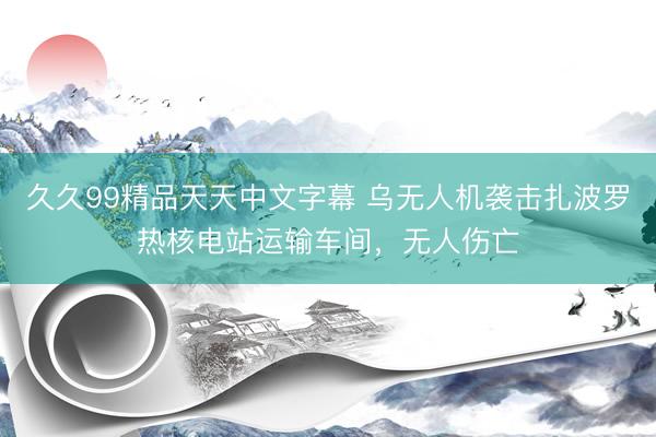 久久99精品天天中文字幕 乌无人机袭击扎波罗热核电站运输车间，无人伤亡