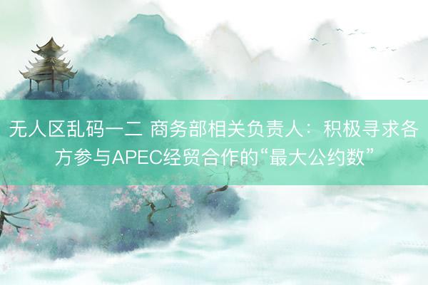 无人区乱码一二 商务部相关负责人：积极寻求各方参与APEC经贸合作的“最大公约数”