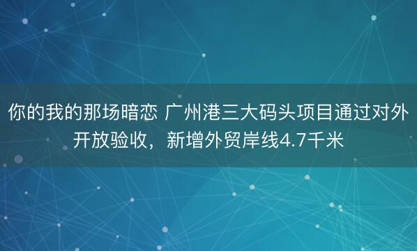 你的我的那场暗恋 广州港三大码头项目通过对外开放验收，新增外贸岸线4.7千米