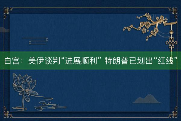 白宫：美伊谈判“进展顺利” 特朗普已划出“红线”