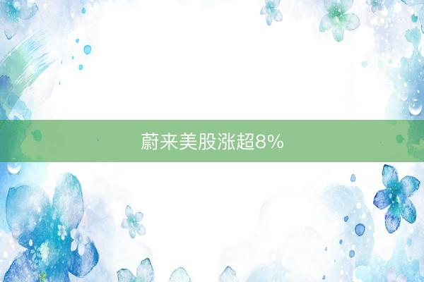 蔚来美股涨超8%