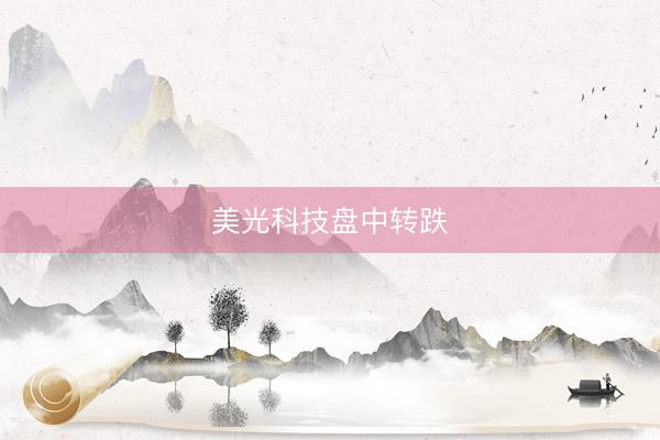 美光科技盘中转跌