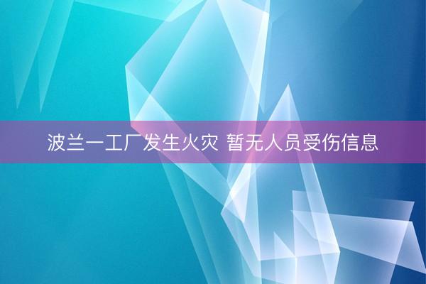 波兰一工厂发生火灾 暂无人员受伤信息