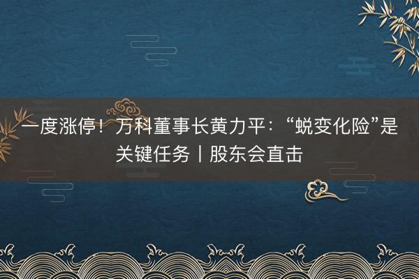 一度涨停！万科董事长黄力平：“蜕变化险”是关键任务丨股东会直击