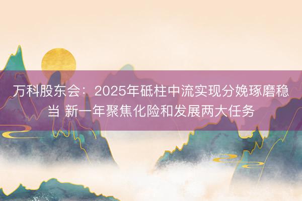 万科股东会：2025年砥柱中流实现分娩琢磨稳当 新一年聚焦化险和发展两大任务