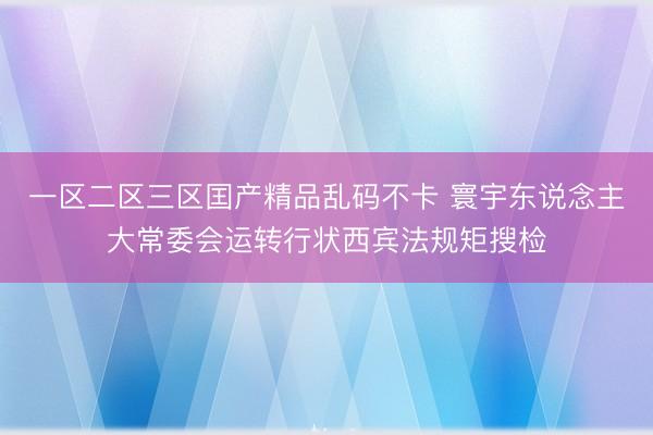 一区二区三区囯产精品乱码不卡 寰宇东说念主大常委会运转行状西宾法规矩搜检