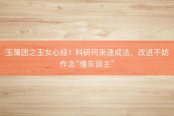 玉蒲团之玉女心经1 科研何来速成法，改进不妨作念“慢东谈主”