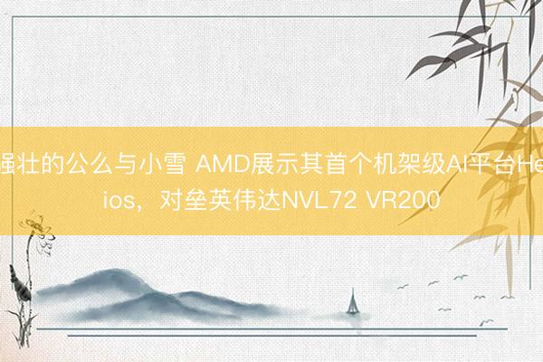 强壮的公么与小雪 AMD展示其首个机架级AI平台Helios，对垒英伟达NVL72 VR200
