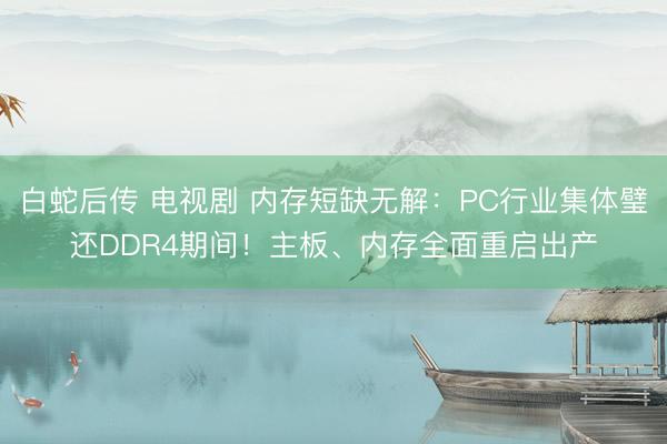 白蛇后传 电视剧 内存短缺无解：PC行业集体璧还DDR4期间！主板、内存全面重启出产