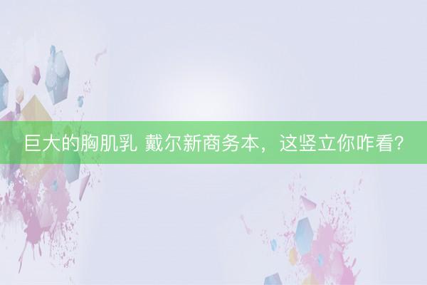 巨大的胸肌乳 戴尔新商务本，这竖立你咋看？