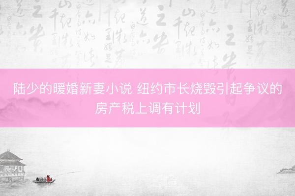 陆少的暖婚新妻小说 纽约市长烧毁引起争议的房产税上调有计划