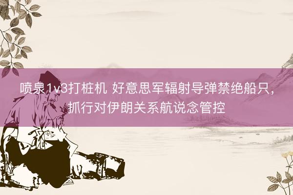喷泉1v3打桩机 好意思军辐射导弹禁绝船只，抓行对伊朗关系航说念管控