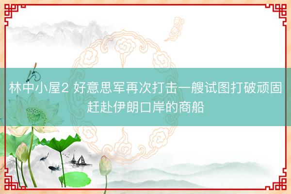 林中小屋2 好意思军再次打击一艘试图打破顽固赶赴伊朗口岸的商船