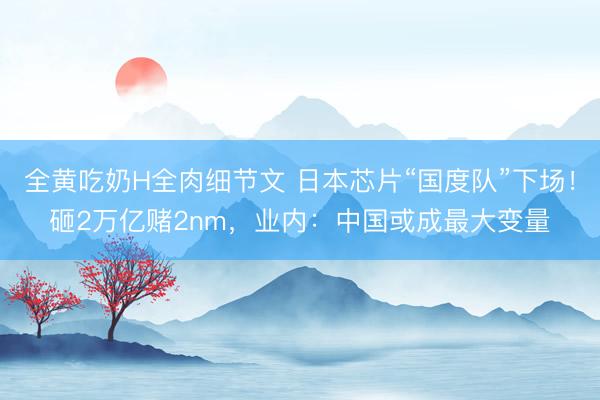 全黄吃奶H全肉细节文 日本芯片“国度队”下场！砸2万亿赌2nm，业内：中国或成最大变量