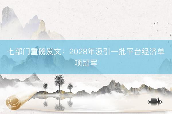 七部门重磅发文：2028年汲引一批平台经济单项冠军