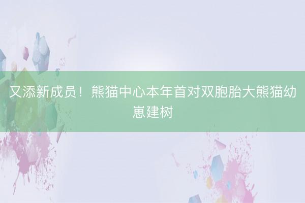 又添新成员！熊猫中心本年首对双胞胎大熊猫幼崽建树