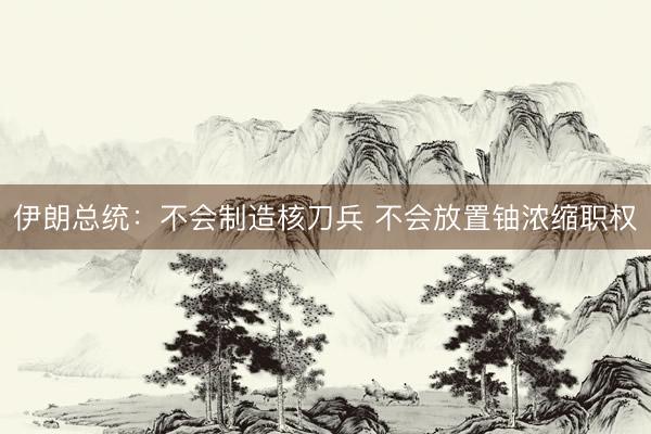 伊朗总统:不会制造核刀兵 不会放置铀浓缩职权